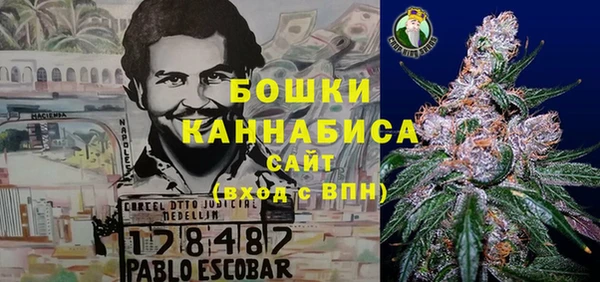 сатива Лабытнанги