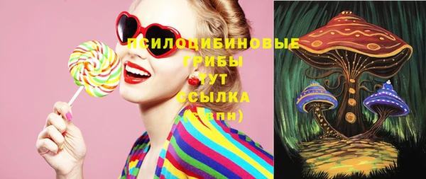 сатива Лабытнанги