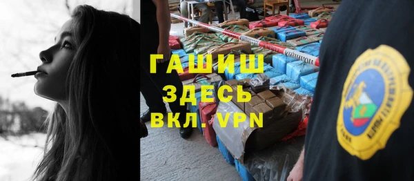 сатива Лабытнанги