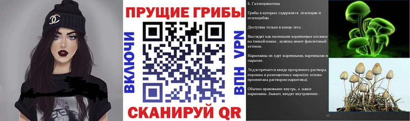 Галлюциногенные грибы мицелий  Купить  Шумерля